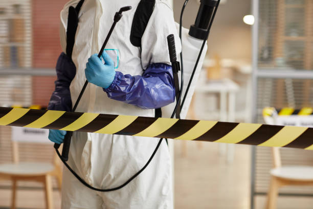 Professional Sewage Cleanup technician working in Logandale, NV